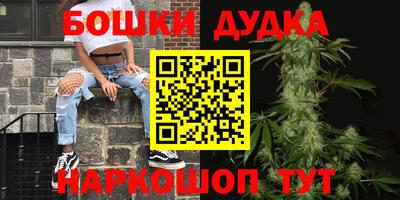 крисы Кунгур