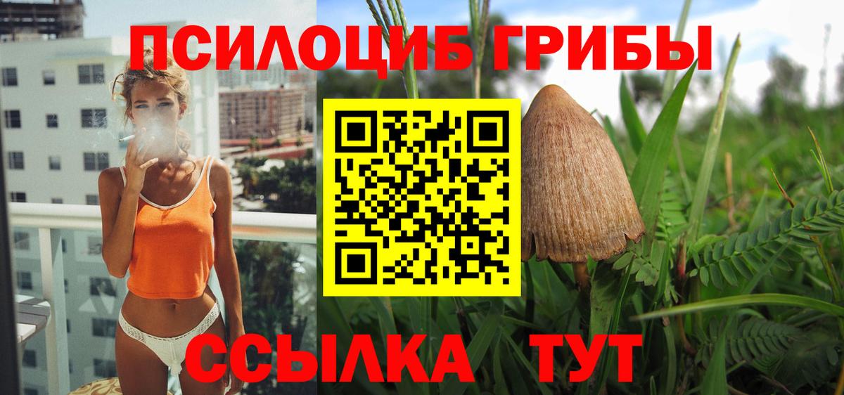 Кинель  Псилоцибиновые грибы GOLDEN TEACHER  Галлюциногенные грибы GOLDEN TEACHER  Вход с VPN 