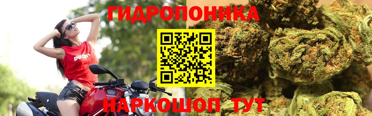 Бошки Шишки тримм Кинель